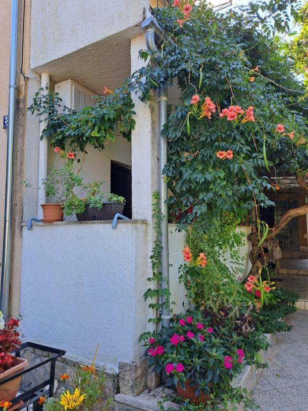 Accomodation Mirjana Rooms Poreč Eksteriør billede